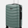 Sage Green PC Trolley Luggage with Black Fitting - Roamer India