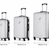 Matte Finish ABS Trolley Luggage