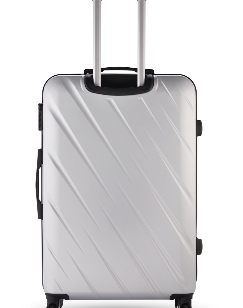 Matte Finish ABS Trolley Luggage