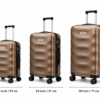 Bronze Trolley M12 Collection