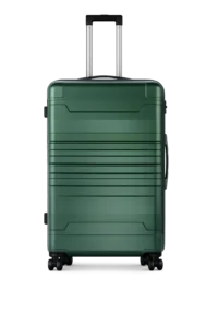 luggage suitcase