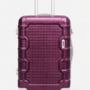 Purple PP Trolley Luggage