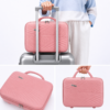 Blush Pink Premium ABS Vanity Box Lifestyle View with Luggage Attachment and Carry Handle - Roamer India